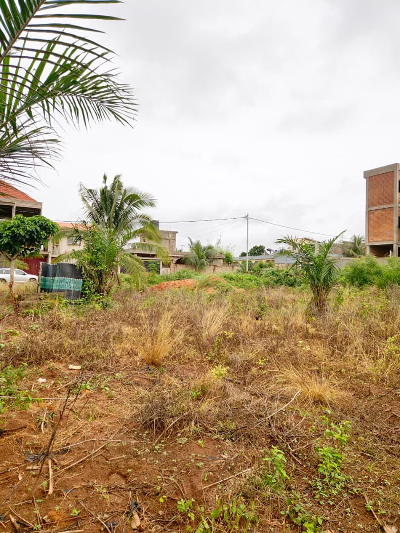 Terrain de 531 m² en vente proche du goudron à Agoè Legbassito Zovadjin – 16 millions FCFA