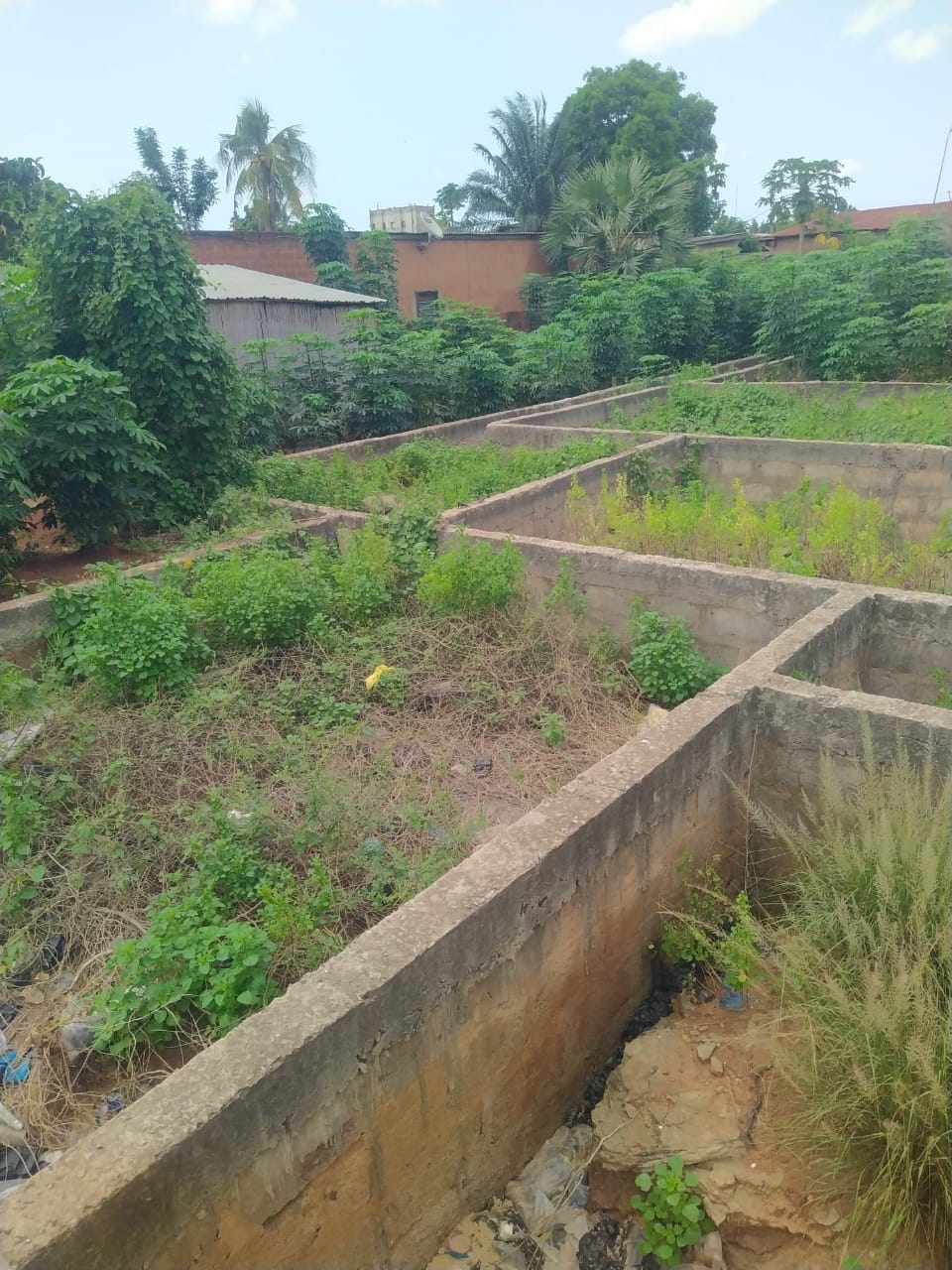 Terrain de 667 m² en vente à Agoè Assiyéyé, à 300m du goudron – à partir de 35 millions FCFA