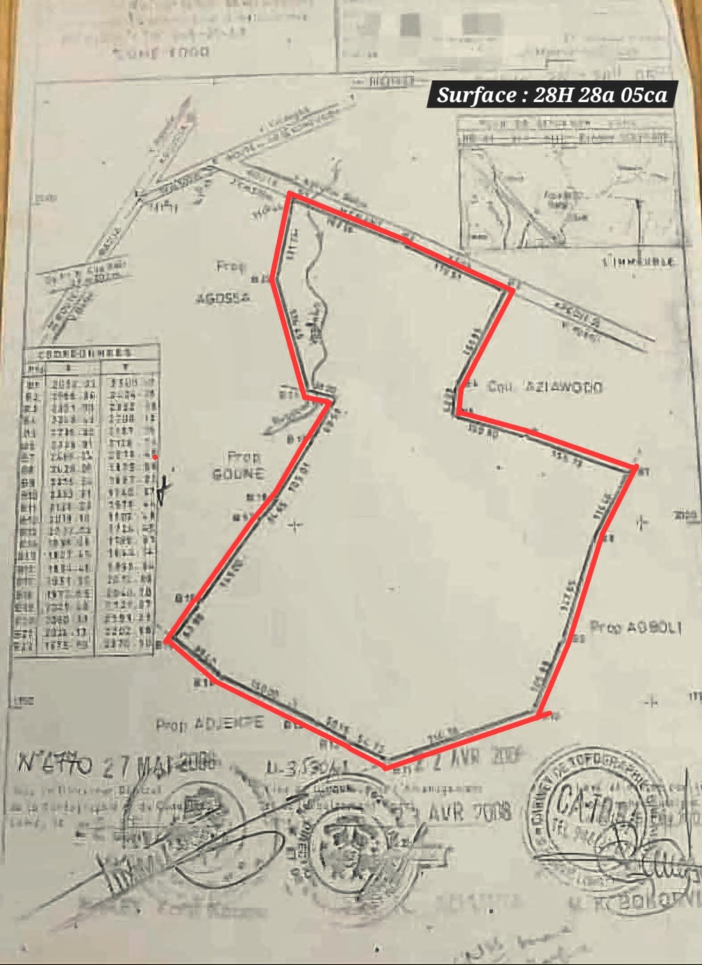 Terrain de 28 hectares en vente à Badja – 3 millions FCFA