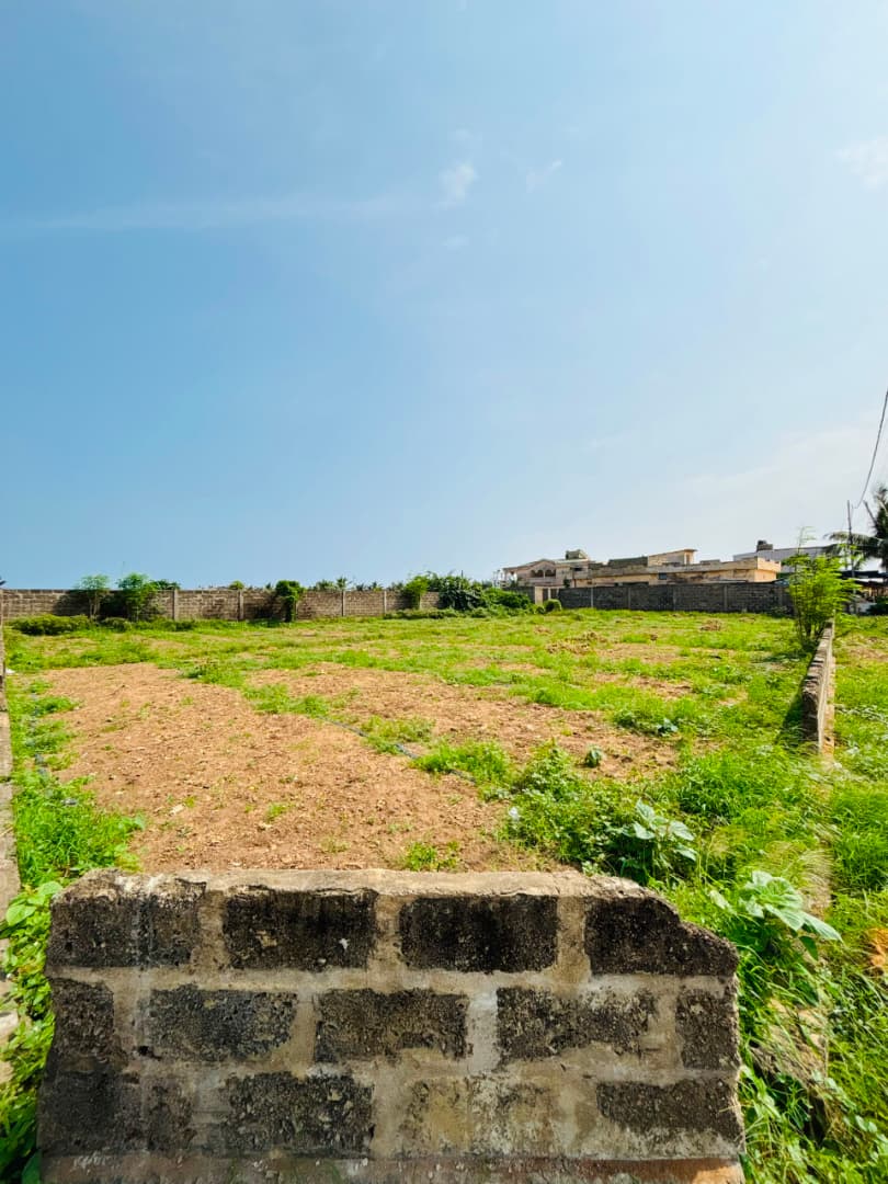 Terrain de 900 m² en vente en bordure de goudron et en angle de rue à Kpogan – 50 millions FCFA