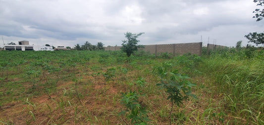 Terrain de 6000 m² en vente à Aképé – 15 millions FCFA le lot