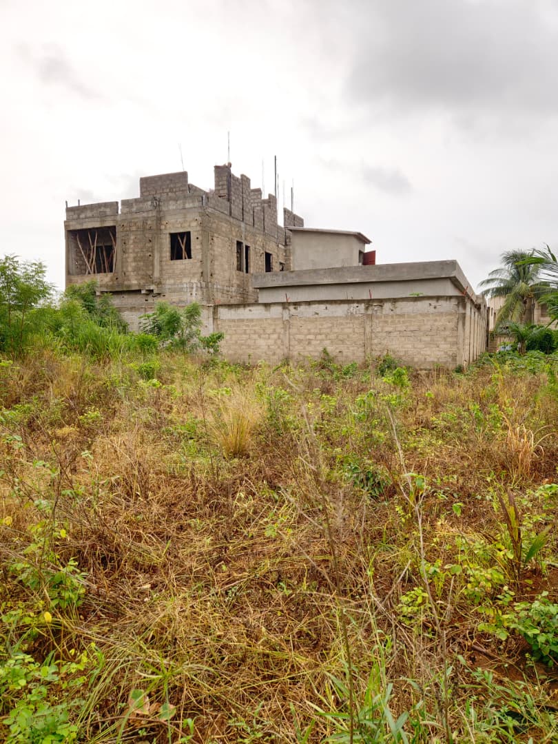 Terrain de 531 m² en vente à Agoè Legbassito Zovadjin, proche du goudron – 16 millions FCFA