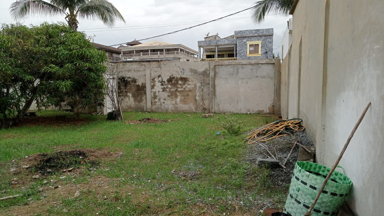 Terrain de 600 m² en vente à Avepozo, côté plage, 300 m du goudron – 40 millions FCFA