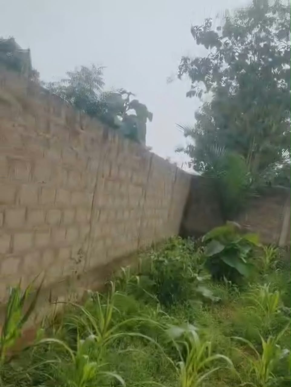 Terrain 1 lot en vente en angle de rue à Segbé – 25 millions FCFA