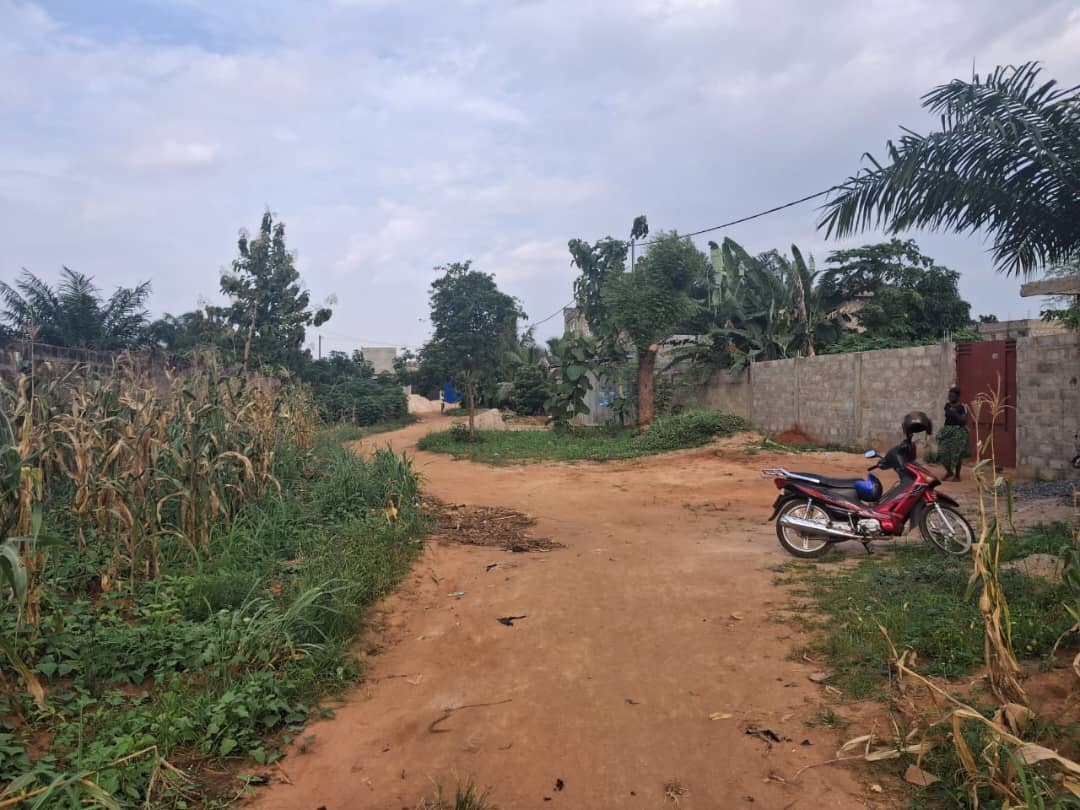 Terrain de 542 m² à vendre à Zanguéra – 17 millions FCFA