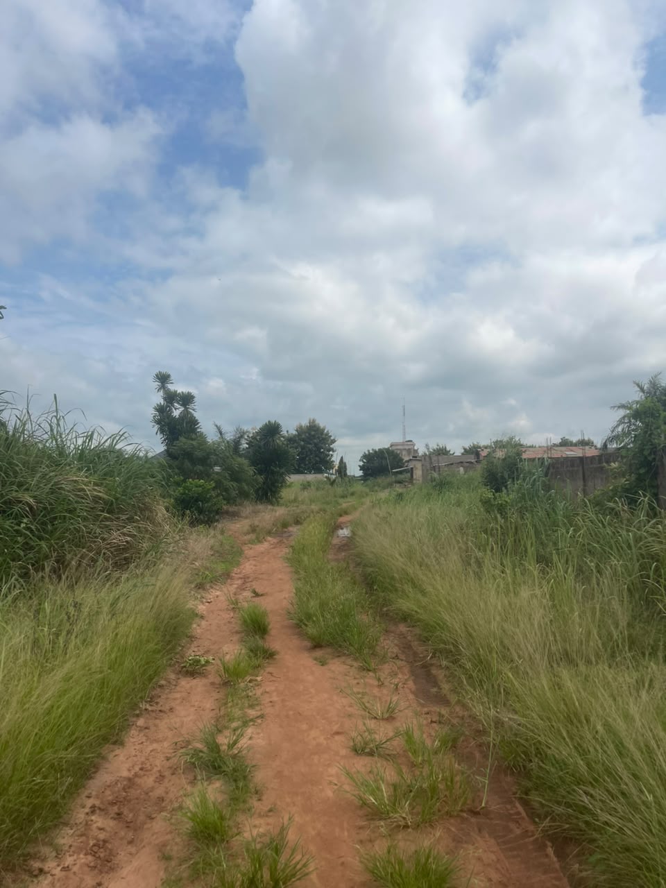 Demi lot en vente à Agoé Téléssou-Logopé au bord de la rue – 18 millions FCFA
