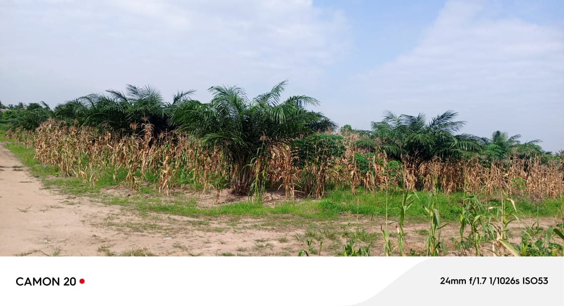 Terrain de 21 lots en vente à Adetikopé Logoé derrière PIA – 315 millions FCFA