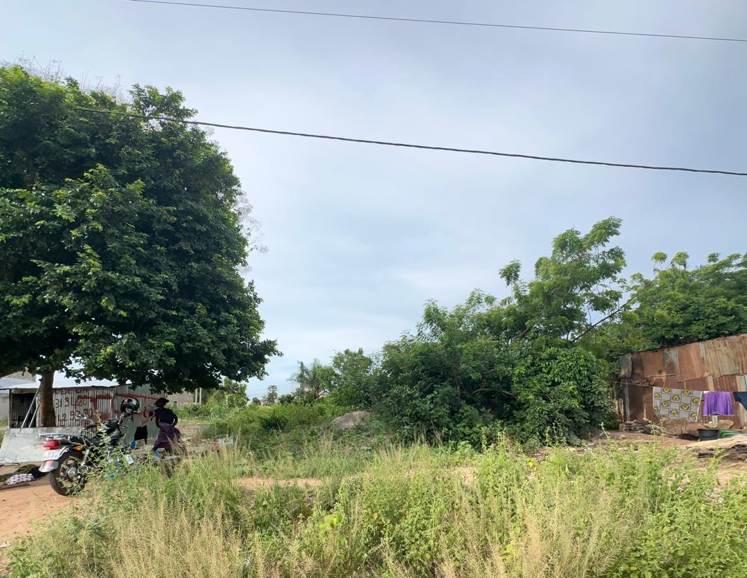 *A VENDRE DOSSIER MAÎTRISER*

_*1lot et 1/2 Bien Positionné👍🏻 Au Bord Du Goudron D'aképé*

_Lieu :