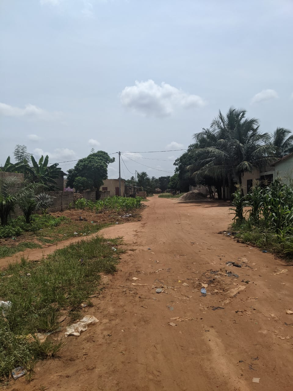 Terrain en vente à Ségbé – 12 millions FCFA