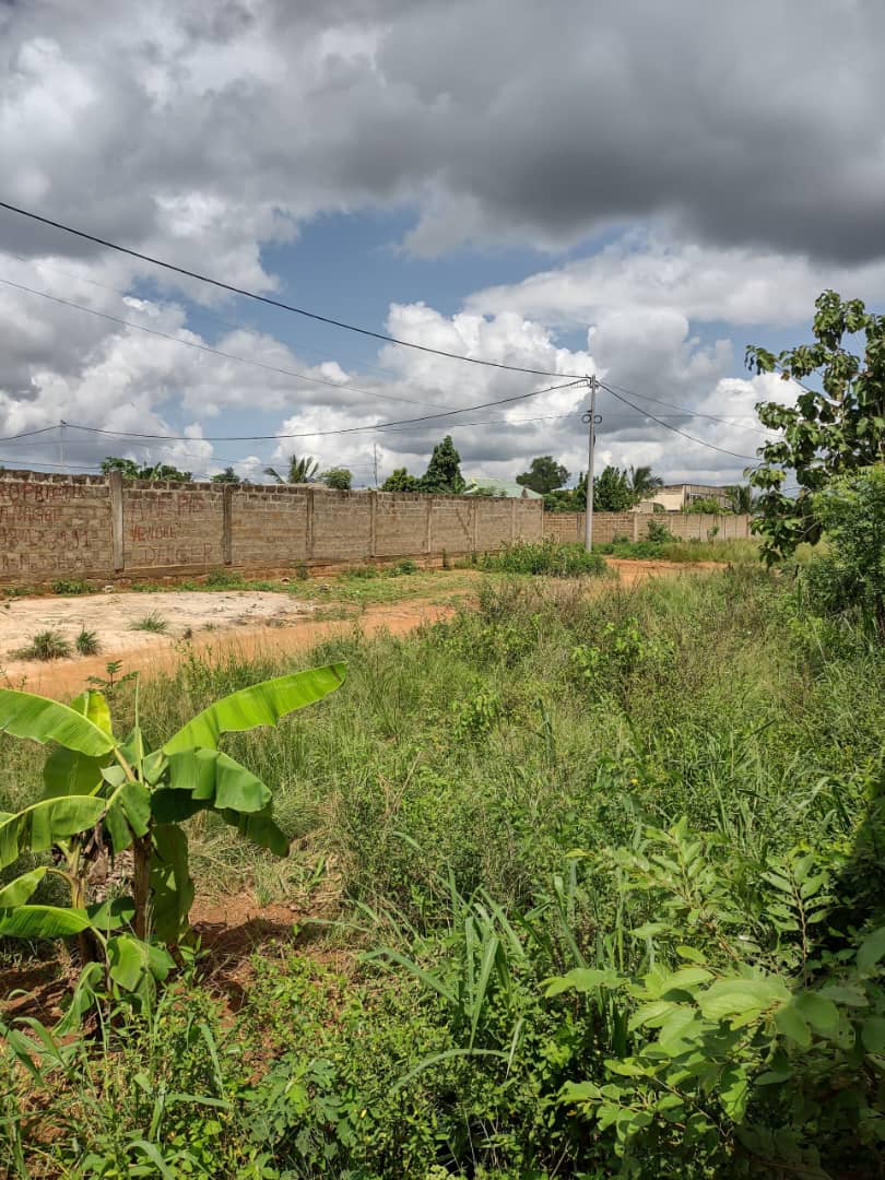 Terrain de 2 lots en angle de rue à Zanguera Wougome – 22 000 000 FCFA le lot