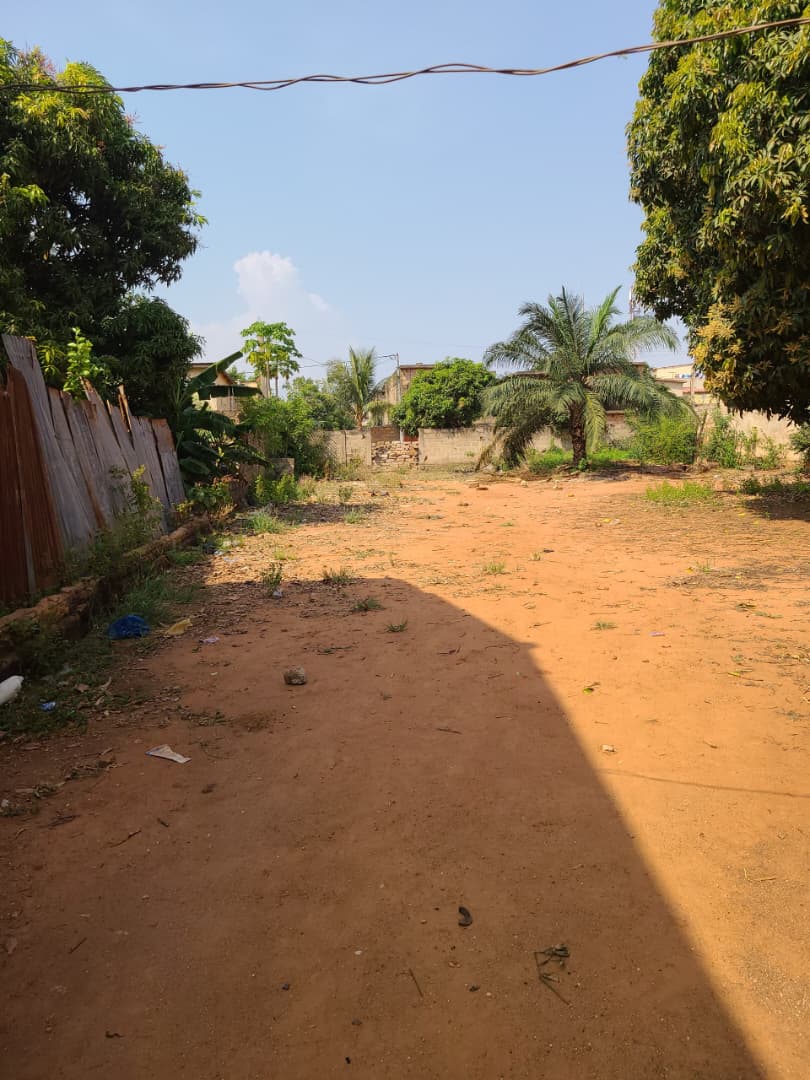 Terrain de 1 lot et 1/4 en vente à Agoe Kossigan bord de la grande voie – 65 millions FCFA