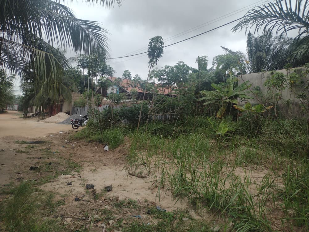 Demi-lot de 300 m² avec maison 1 chambre en vente à Kleme Château Agokpanou – 10 millions FCFA