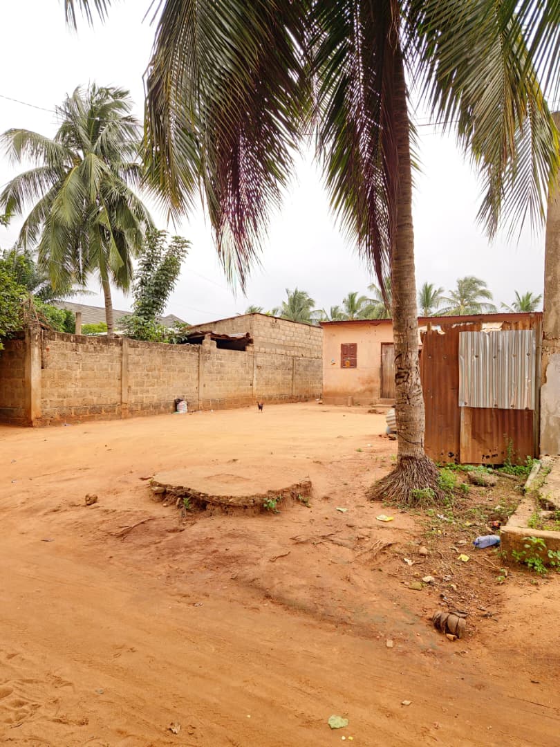 Terrain de 1200 m² en vente à Nanegbé – 20 millions FCFA