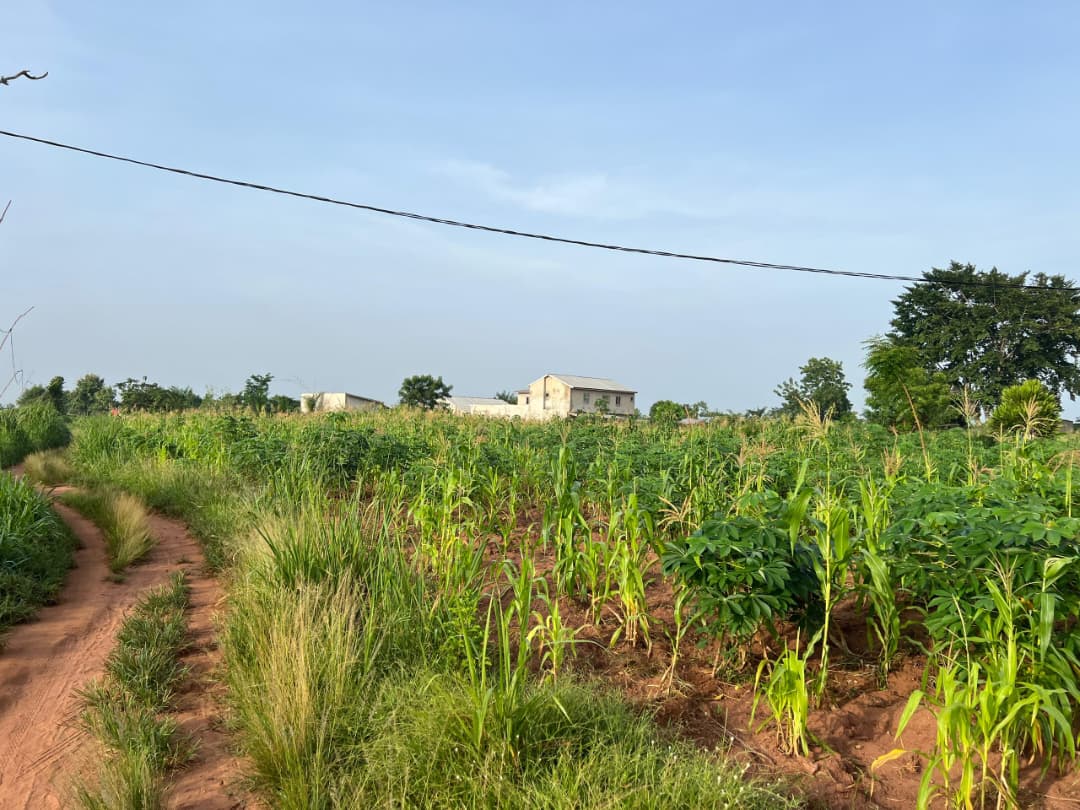 Terrain de 579 m² en vente à Kovié Adidomé – 6 000 000 FCFA