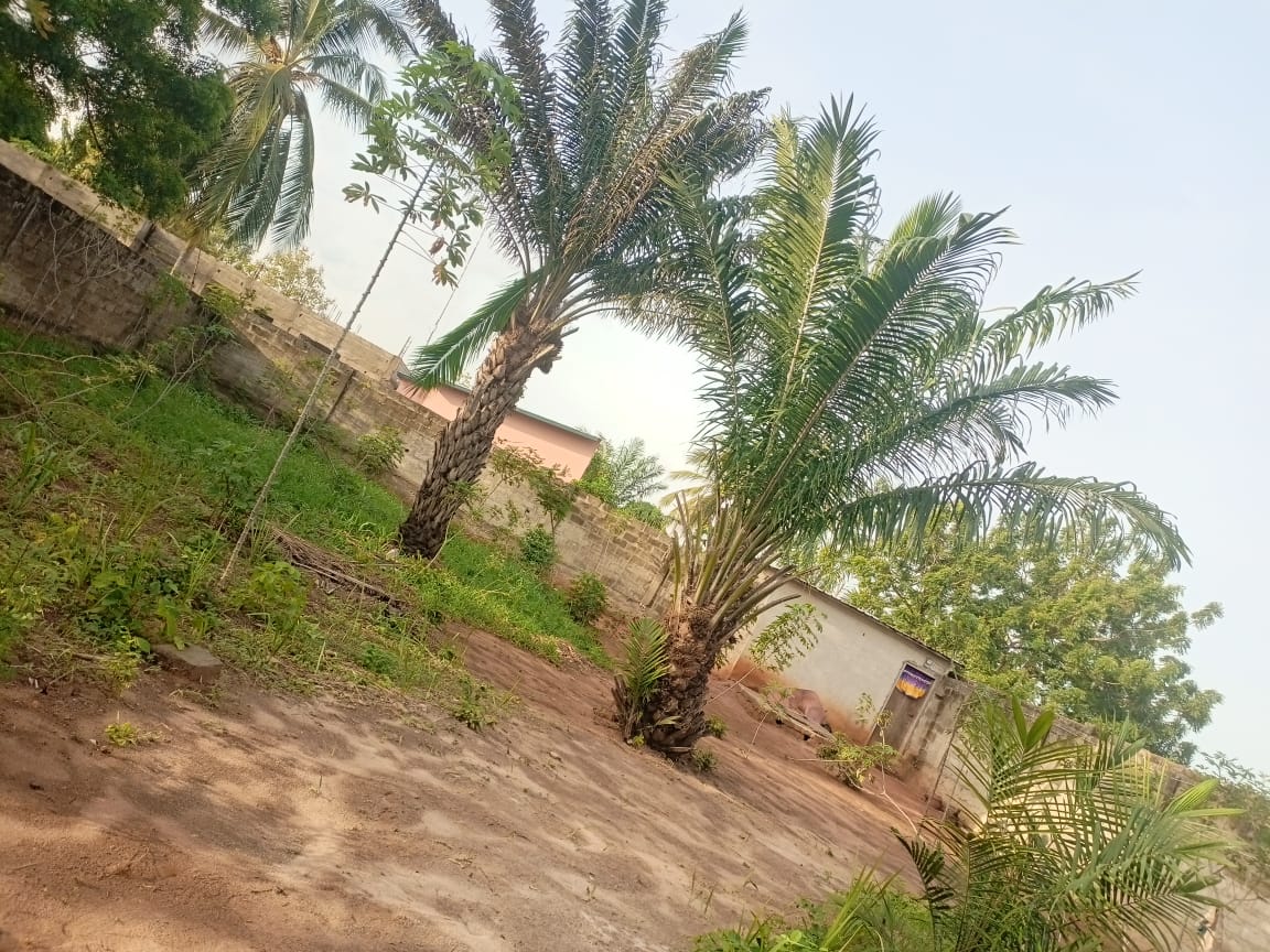 Demi-lot de 300 m² avec 1 pièce en vente, bord du goudron à Zanguera – 18 millions FCFA