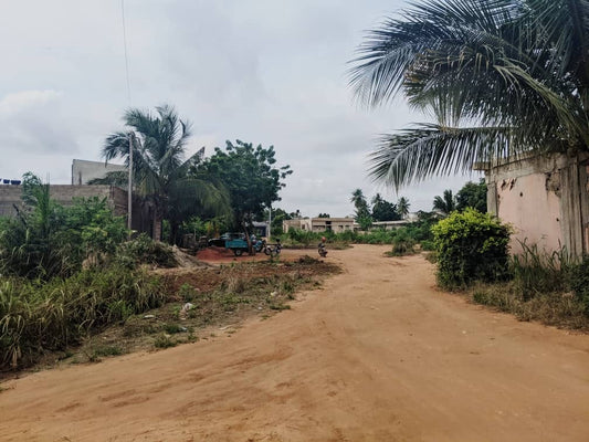 Terrain d'un demi-lot en vente à Zanguera UCAO – 10 millions FCFA