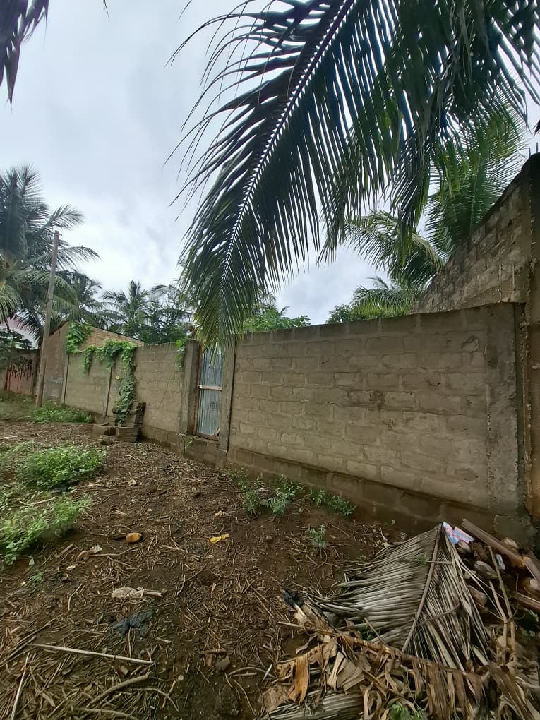 Terrain cloturé en vente à Ségbé – 28 000 000 FCFA