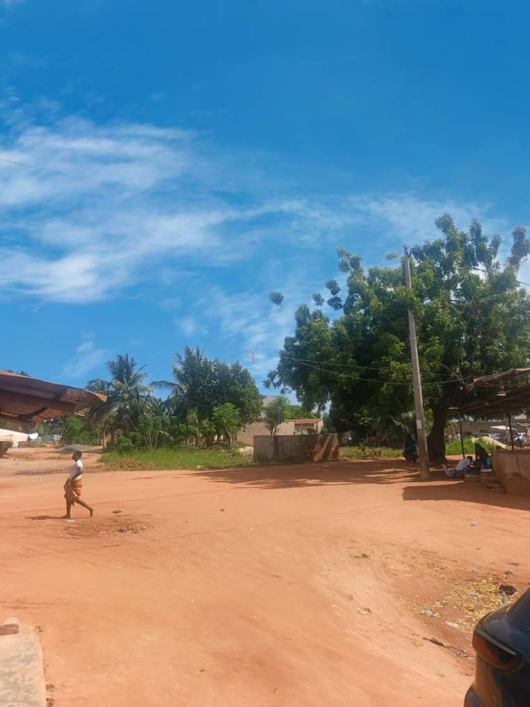 Terrain d'angle de rue en vente à Ségbé – 12 millions FCFA
