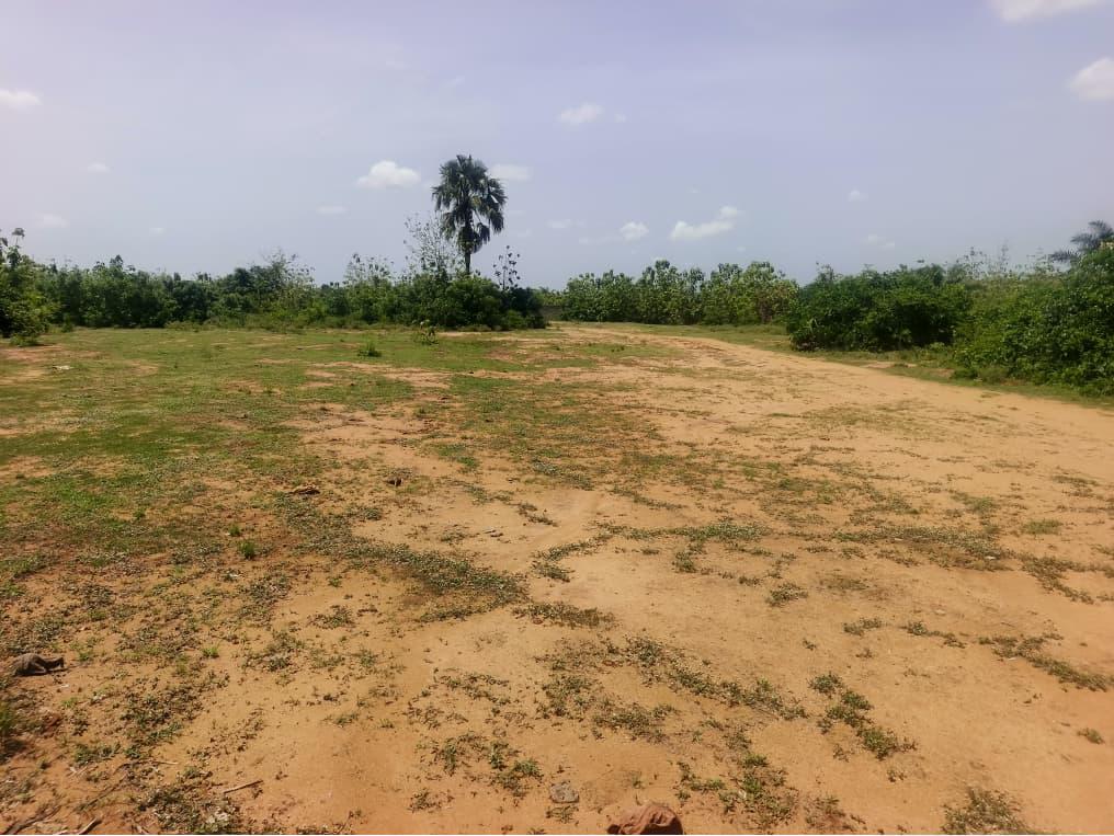 Terrain de 10.50 hectares en vente à Dalavé Adjoguidi Torokpi proche du goudron – 60 millions FCFA l'hectare