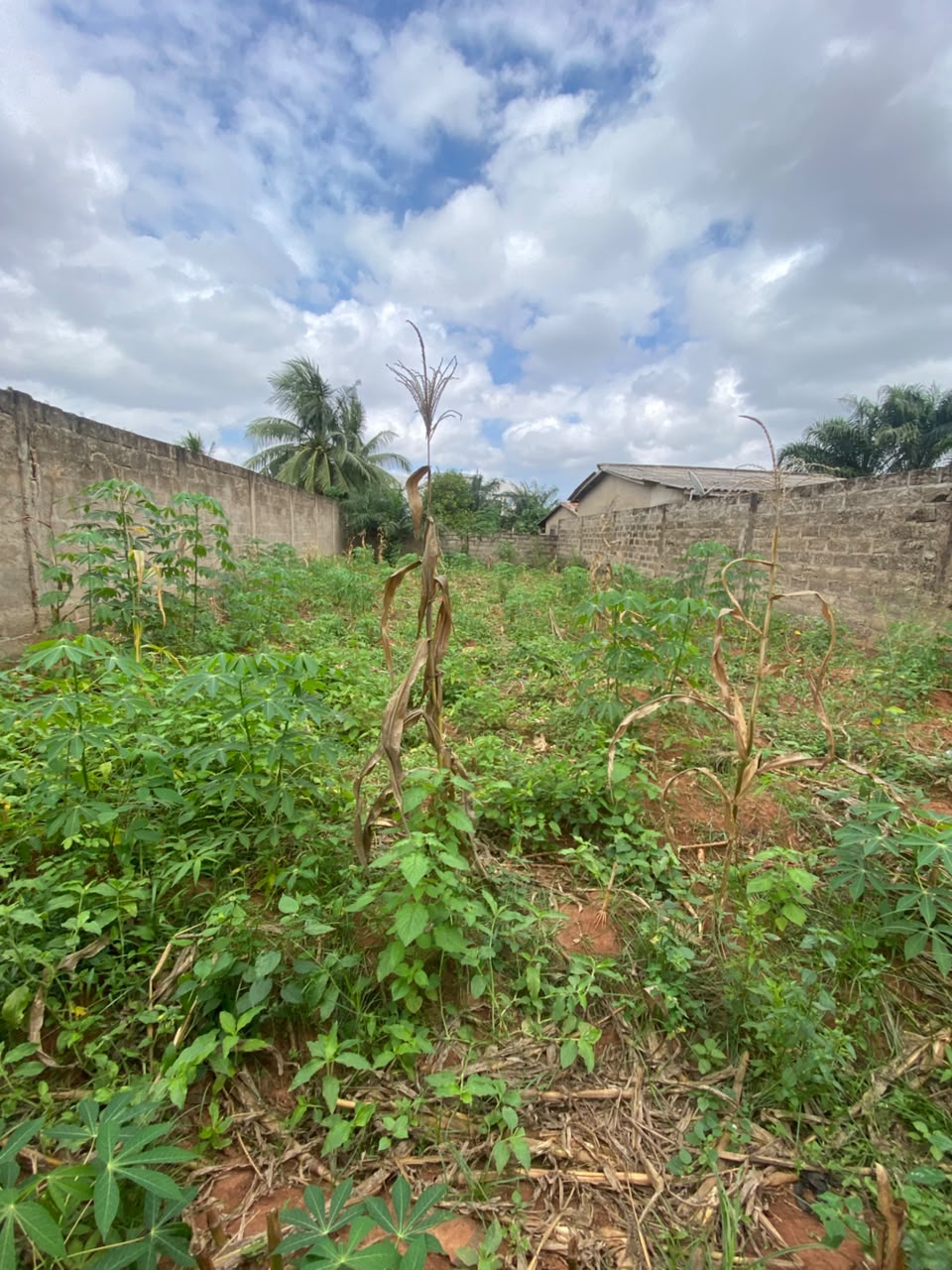 Terrain en vente non loin du goudron à Agoè Légbassito Madjikpéto – Prix à partir de 13 millions FCFA