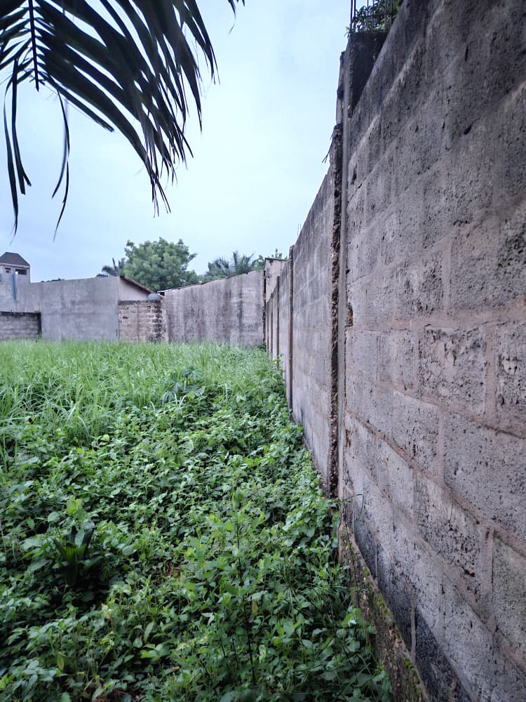 Terrain 1/2 lot en vente proche du goudron à côté du marché Légbassito – 25 000 000 FCFA