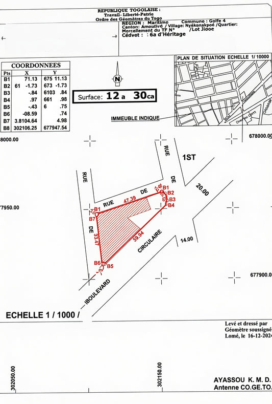 Terrain de 1230 m² en vente en angle de rue à Nyèkonakpoè – 850 millions FCFA