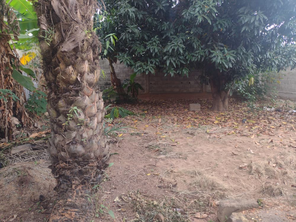Demi-lot de 300 m² avec maison 1 chambre en vente à Kleme Château Agokpanou – 10 millions FCFA