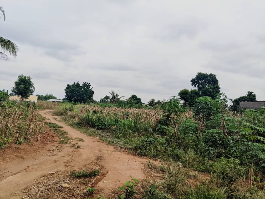 Terrain de 600 m² en vente à Adidogomé derrière le cour primaire – 8 millions FCFA