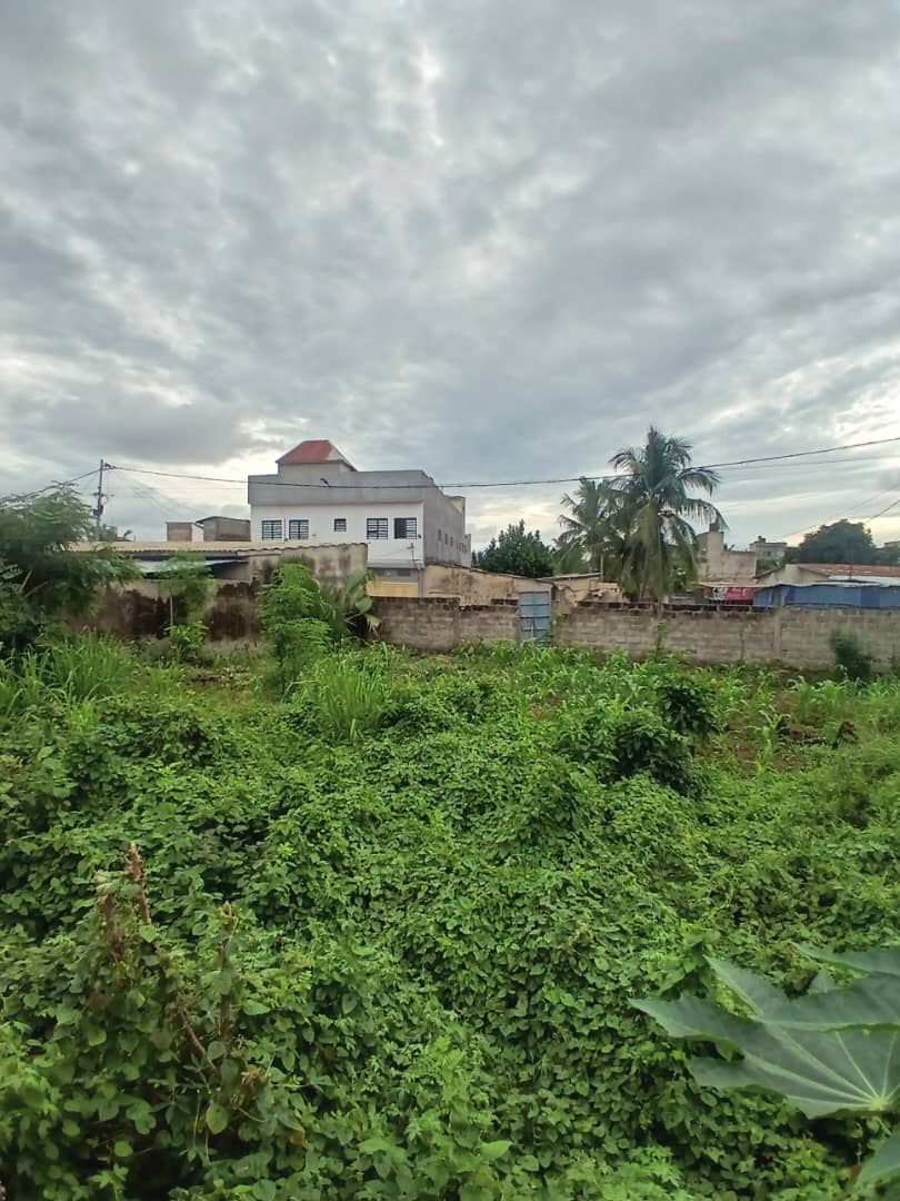 Terrain de 397 m² en vente à Zanguéra Atilamonou