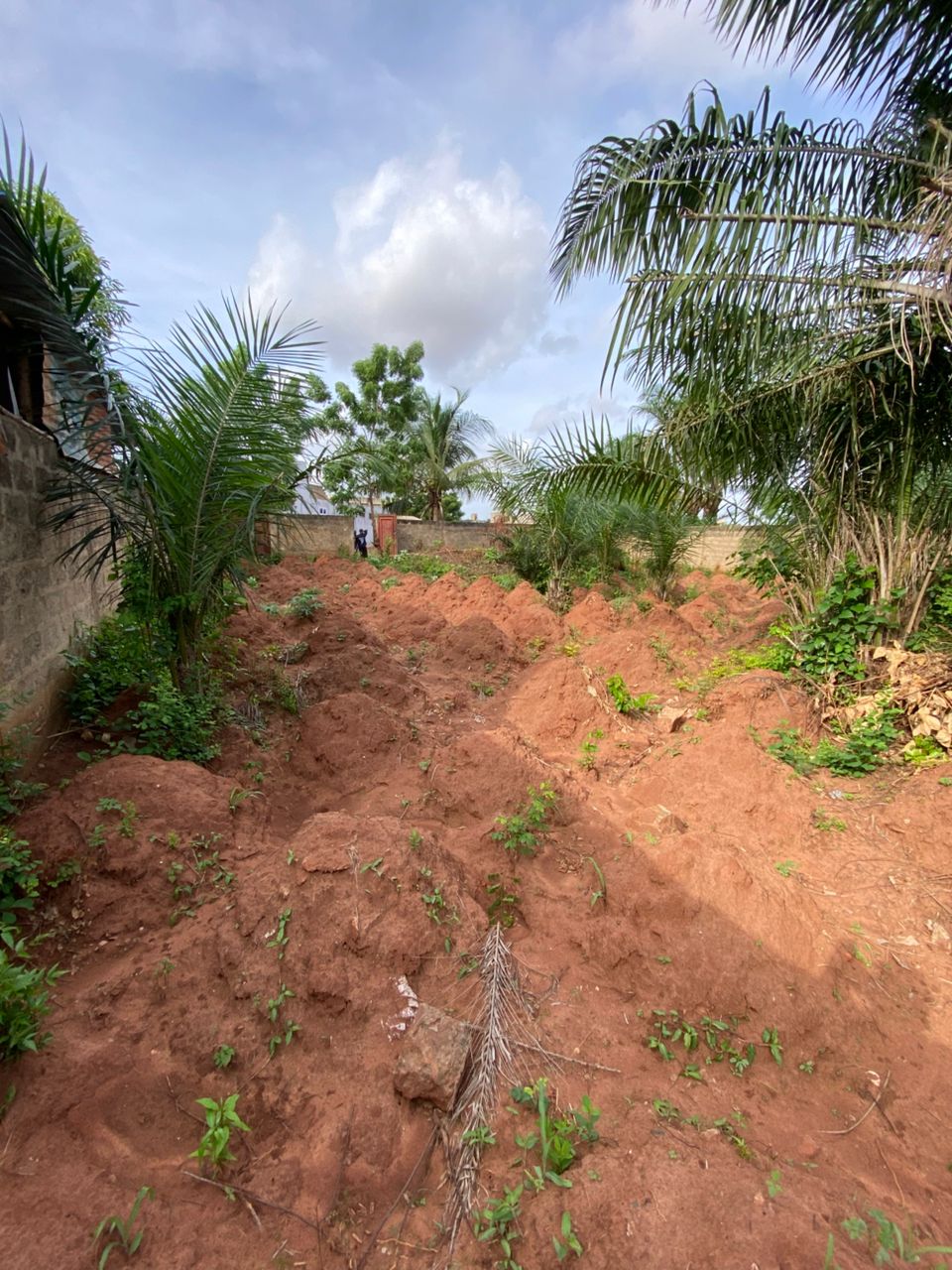 Terrain 1 lot en vente à Agoè Sogbossito – 33 millions FCFA