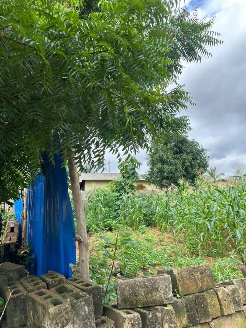 Terrain de 600 m² en vente à Agoè Légbassito – 26 millions FCFA