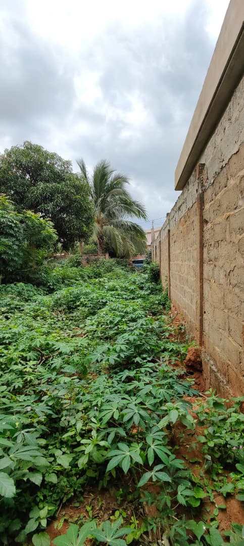 Terrain de 602 m² en vente à Agoè Legbassito, 500m du goudron – 30 millions FCFA