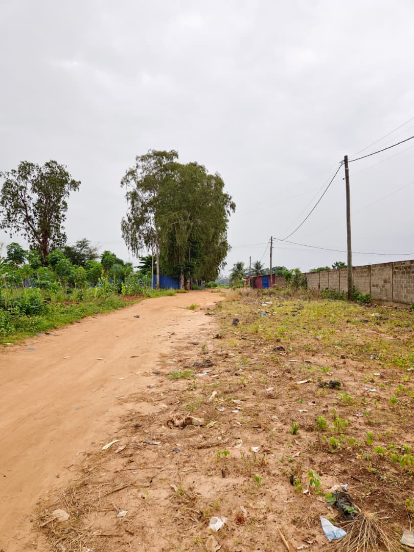Terrain de 2996 m² en vente à Sanguéra Marché – 25 000 000 FCFA le lot