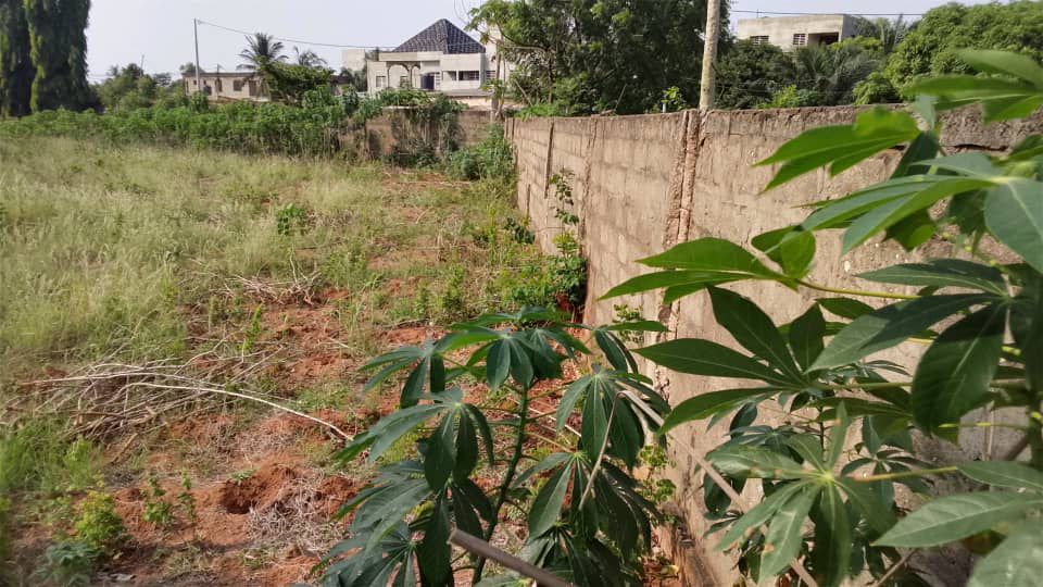 Terrain d'un demi lot en vente à Adidogomé Yokoe Catholique – 13 millions FCFA