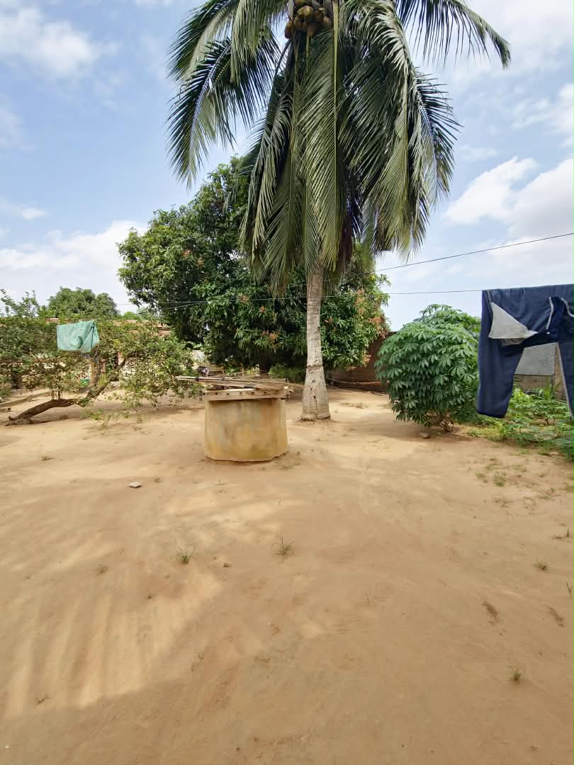 Demi-lot de 300 m² en vente à Légbassito Amadenta – 8.750.000 FCFA