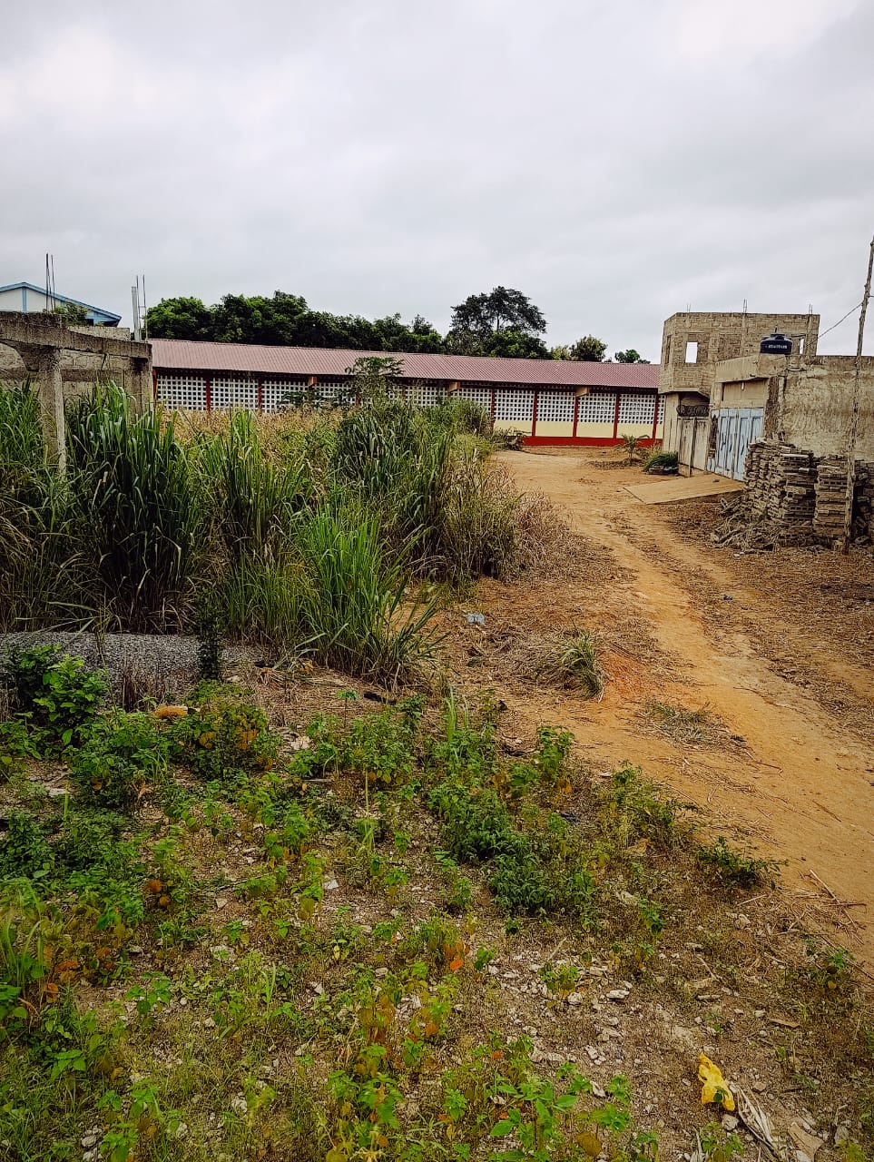 Terrain de 203 m² en vente à Kpalé, angle de rue - 4,5 millions FCFA