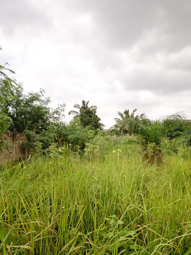 Terrain en vente en bordure de grande route de 30m à Agoè Sogbossito Somayaf – 15 000 000 FCFA