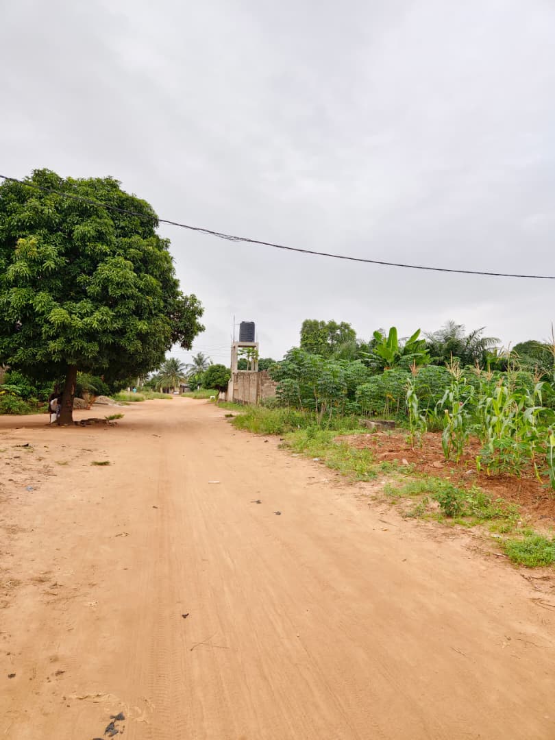 Terrain de 2996 m² en vente à Sanguéra Marché – 25 000 000 FCFA le lot