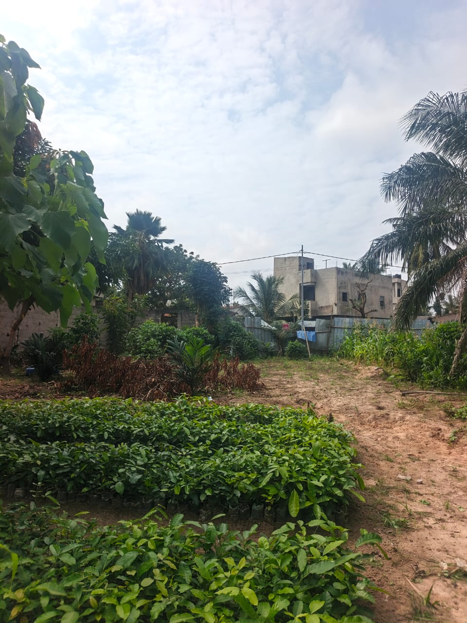 Terrain d'un lot en vente proche du goudron à Agoè Zossime – 27 millions FCFA