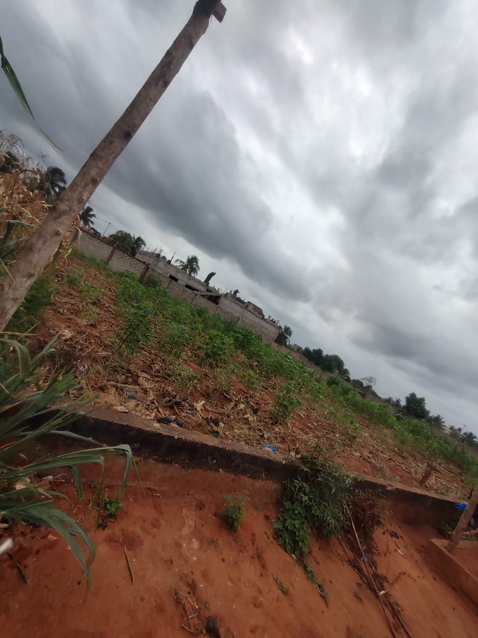 Terrain de 150 m² en vente à Sagbado Lankouvi – 6 millions FCFA