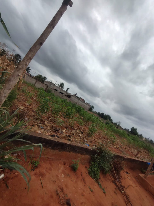 Terrain de 150 m² en vente à Sagbado Lankouvi – 6 millions FCFA