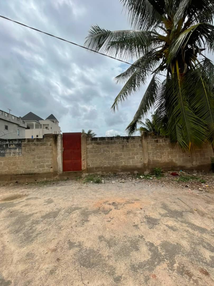 Terrain de 1 lot (600 m²) en vente à Adidogomé Kohé – 27 millions FCFA