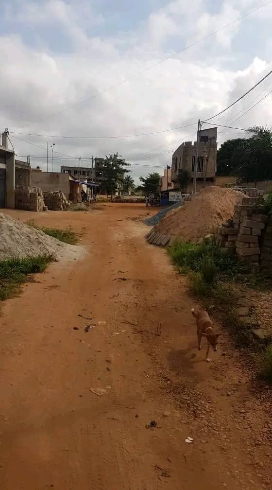 Terrain demi-lot à vendre à Agoè Legbassito – 18 000 000 FCFA