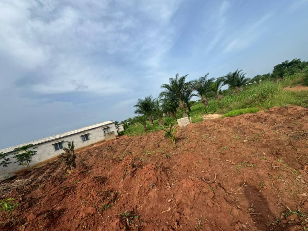 Terrain de 600 m² en vente à Aképédo Zanguera – 9 millions FCFA