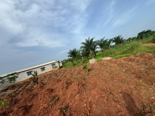 Terrain de 600 m² en vente à Aképédo Zanguera – 9 millions FCFA