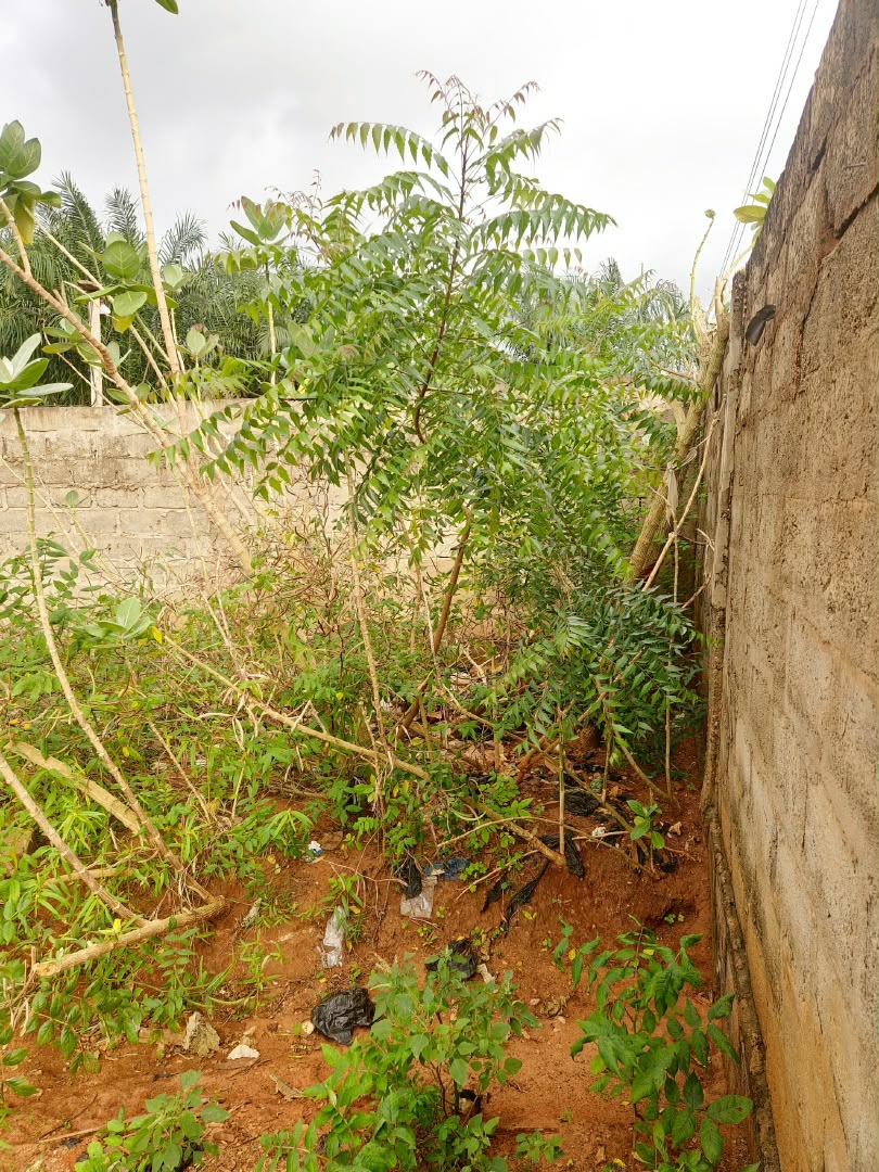 Terrain 1/4 lot de 160 m² en vente à Légbassito en angle de rue – 11.000.000 FCFA