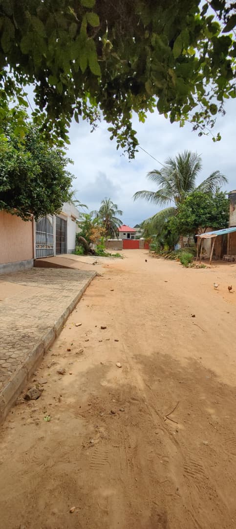 Terrain de 602 m² en vente à Agoè Legbassito, 500m du goudron – 30 millions FCFA