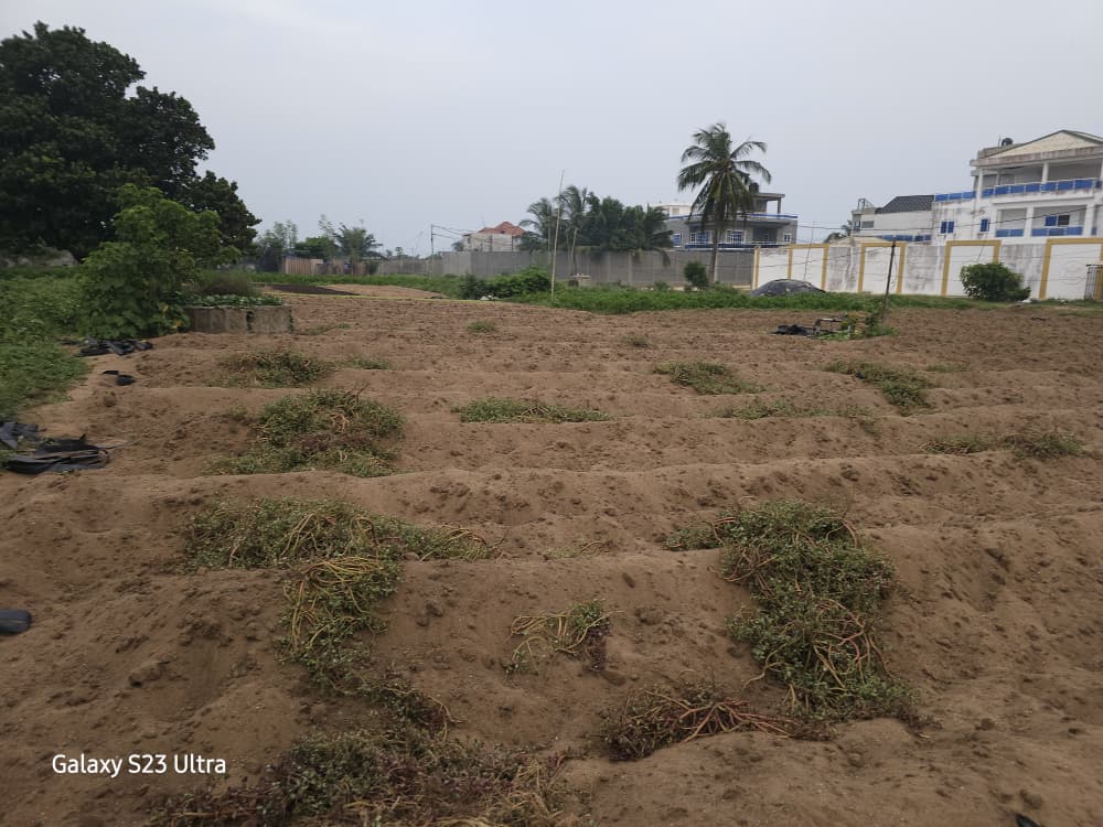 Terrain en angle de rue en vente à Baguida – 150 millions FCFA
