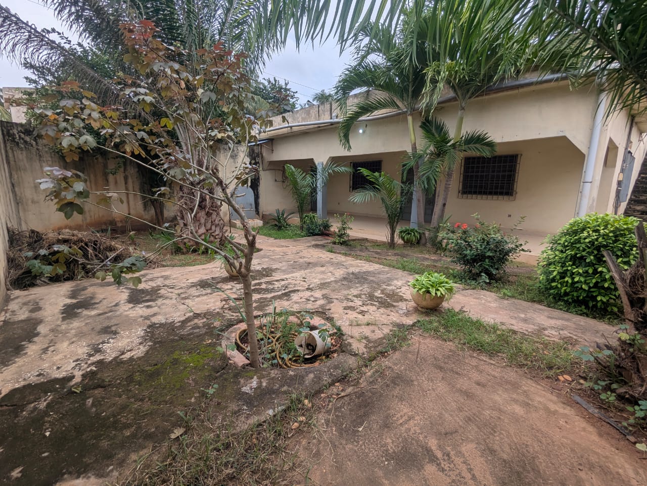 Maison de 600 m² en vente en angle de rue à Avedji – 60 millions FCFA