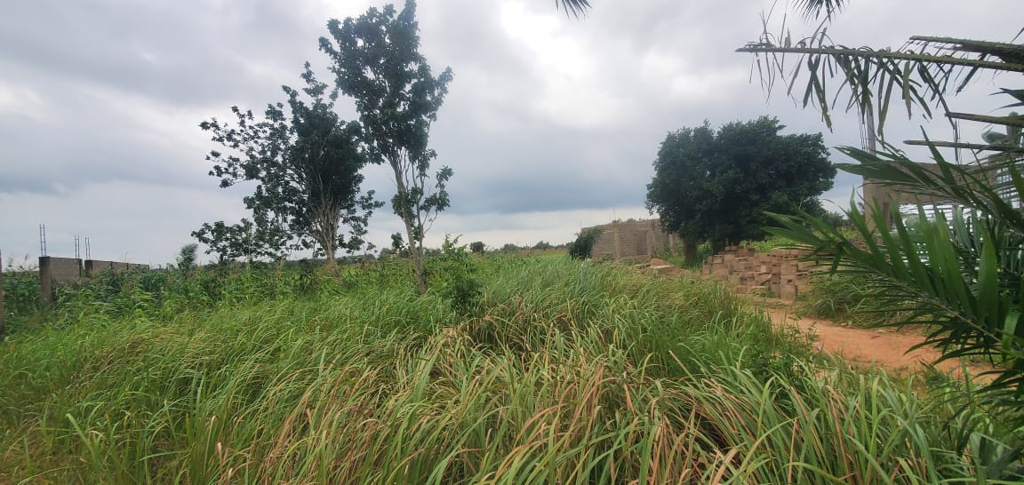 Terrain de 6000 m² en vente à Aképé – 15 millions FCFA le lot